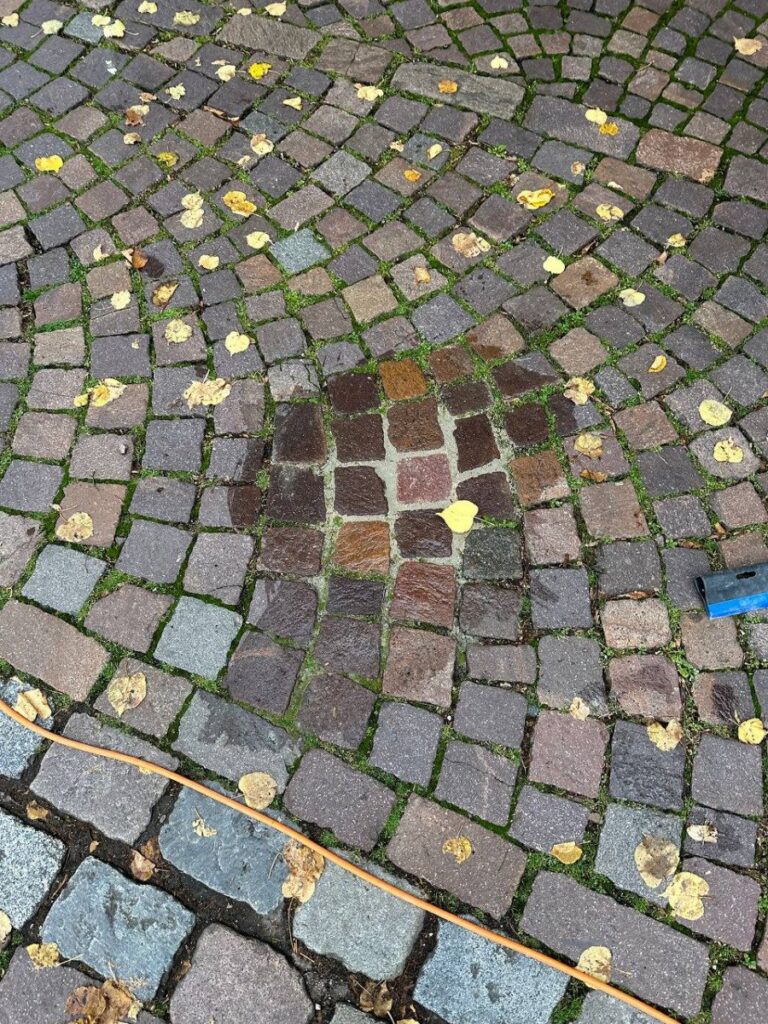 photo 2023 10 31 09 20 06