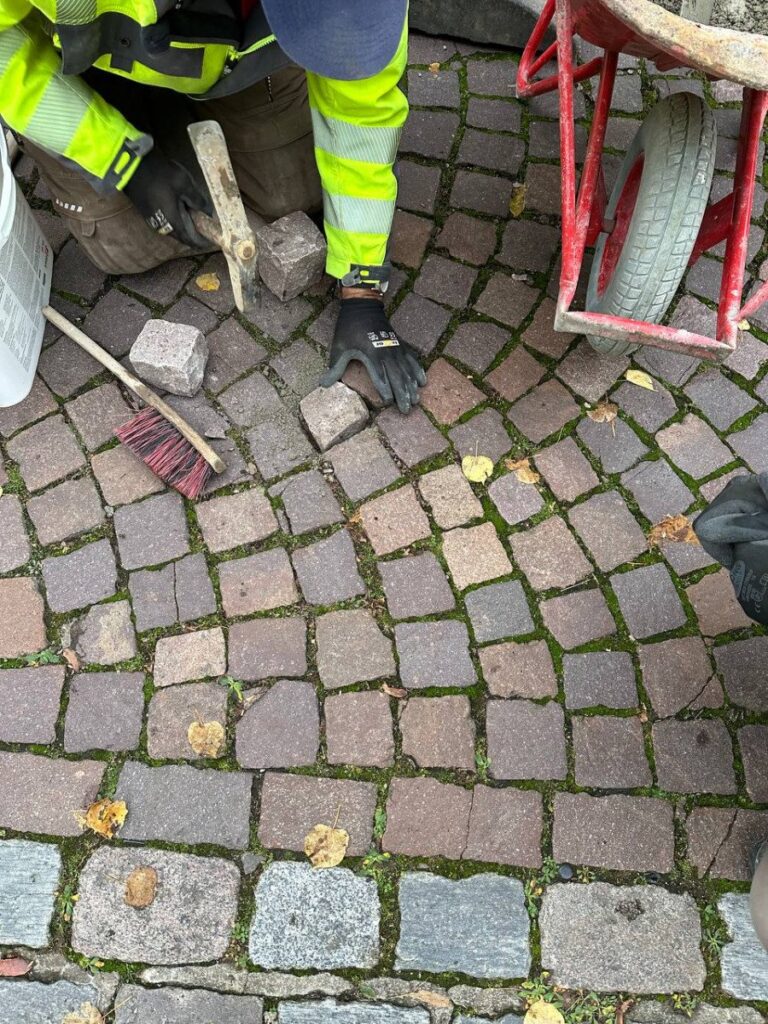 photo 2023 10 31 09 20 11