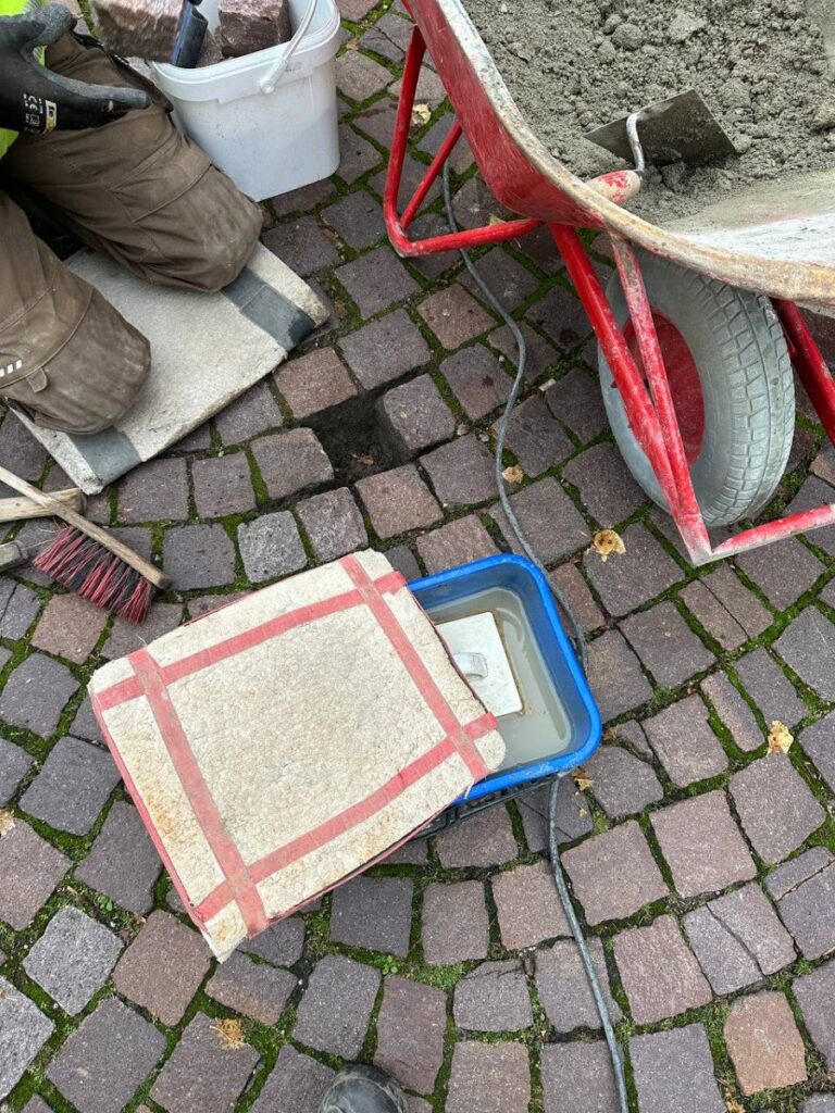 photo 2023 10 31 09 20 14