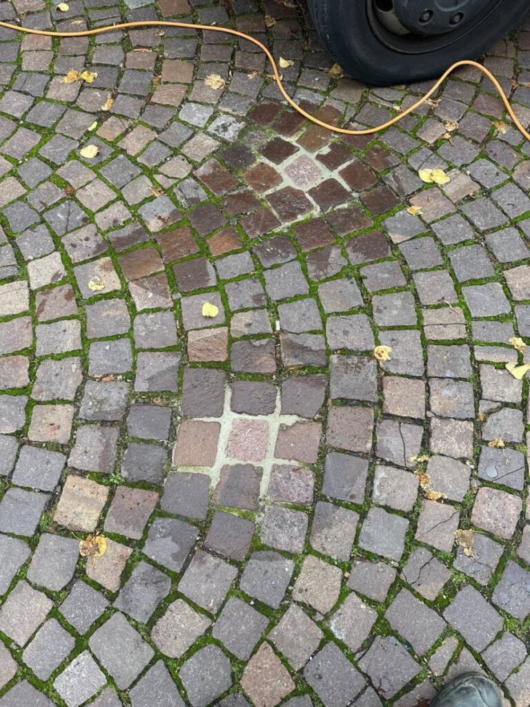 photo 2023 10 31 09 20 15