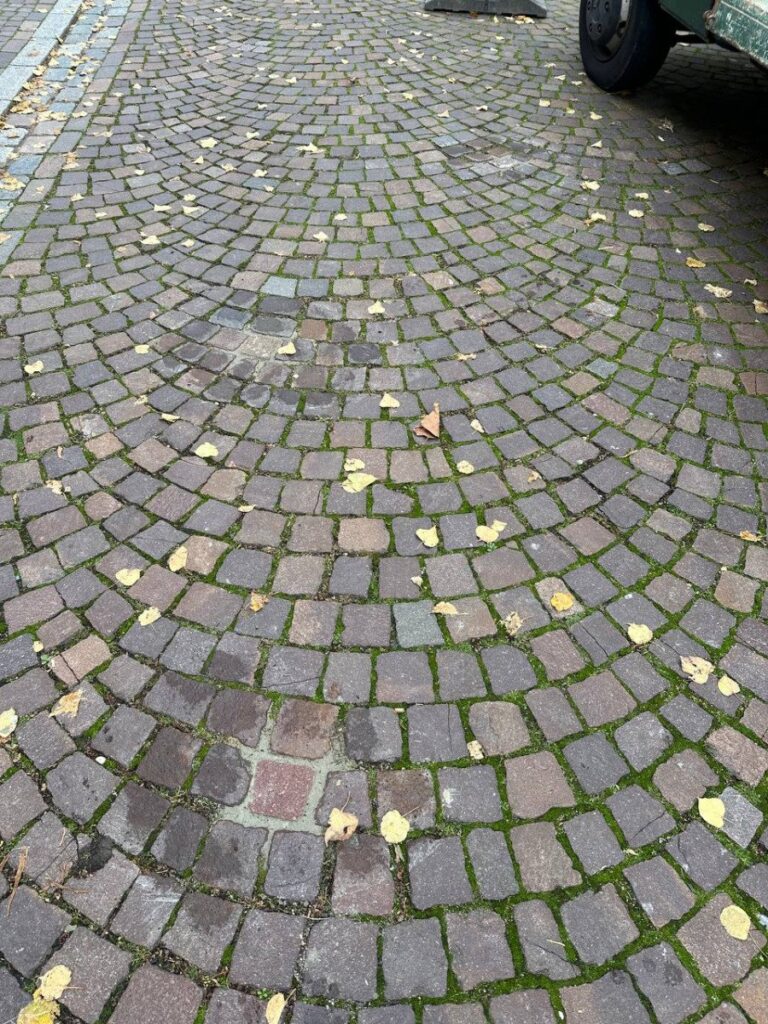 photo 2023 11 01 07 05 11