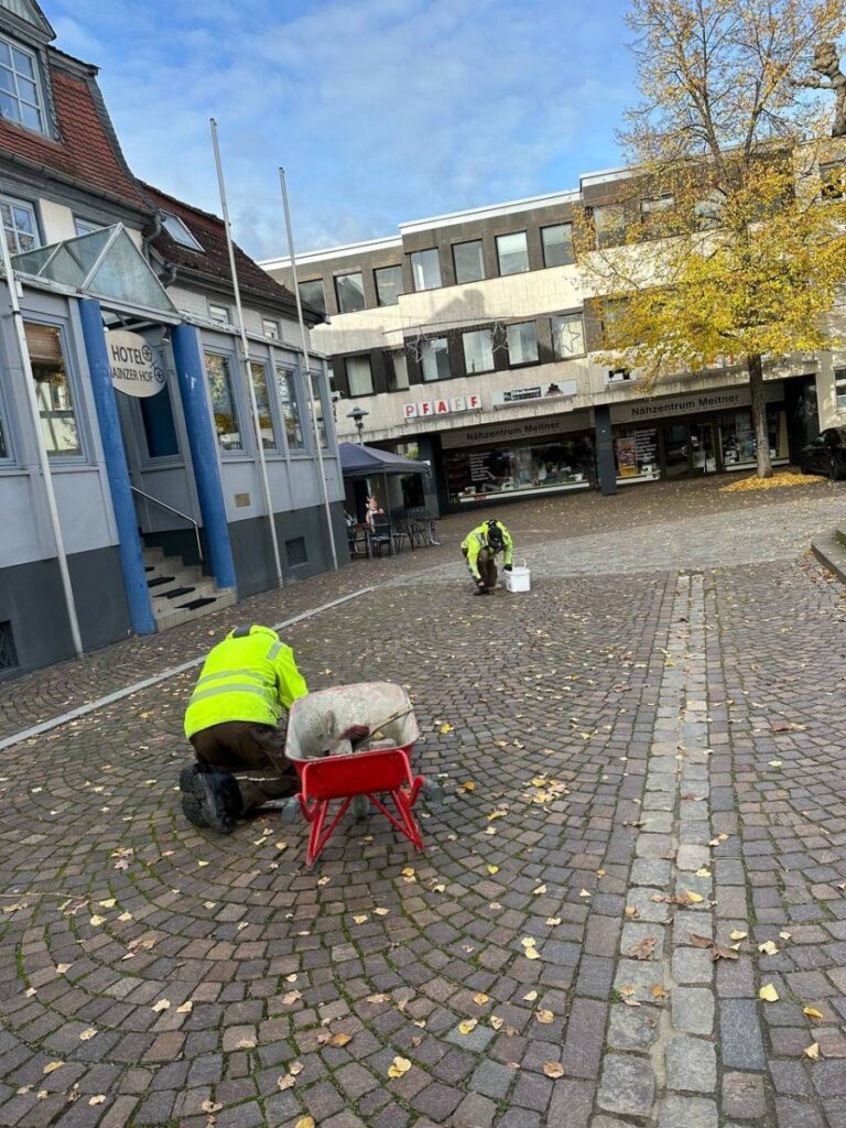 photo 2023 11 01 07 05 30