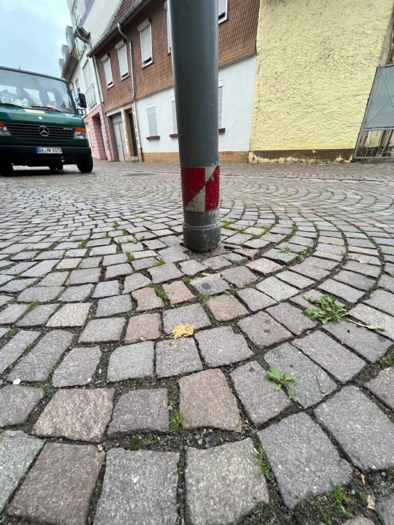 photo 2023 11 03 09 31 58