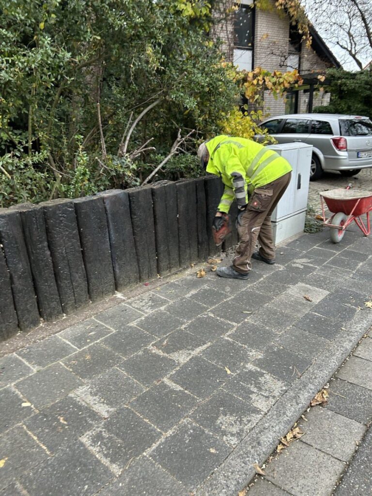 photo 2023 11 14 23 06 27