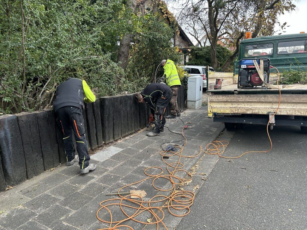 photo 2023 11 14 23 06 54