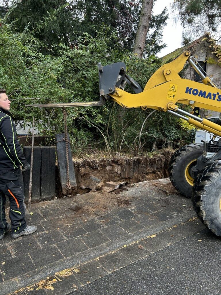 photo 2023 11 14 23 06 59