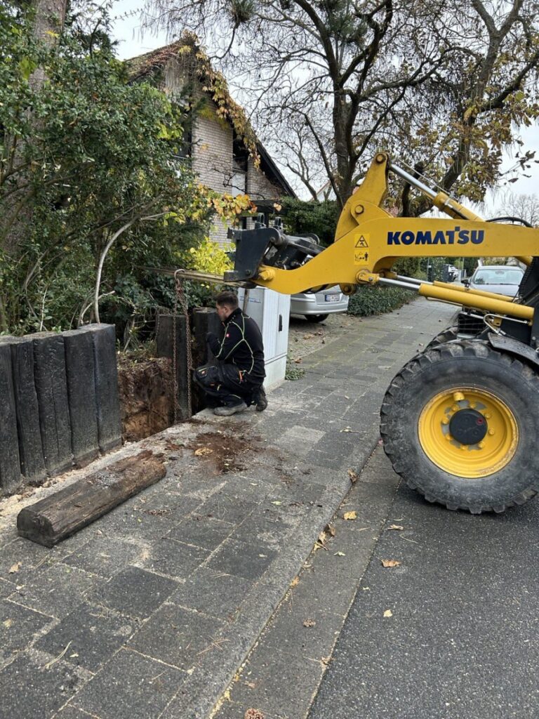 photo 2023 11 14 23 07 30