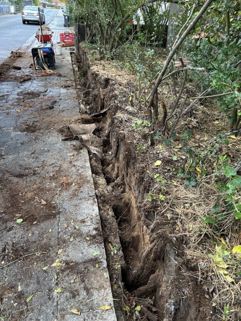 photo 2023 11 14 23 07 35