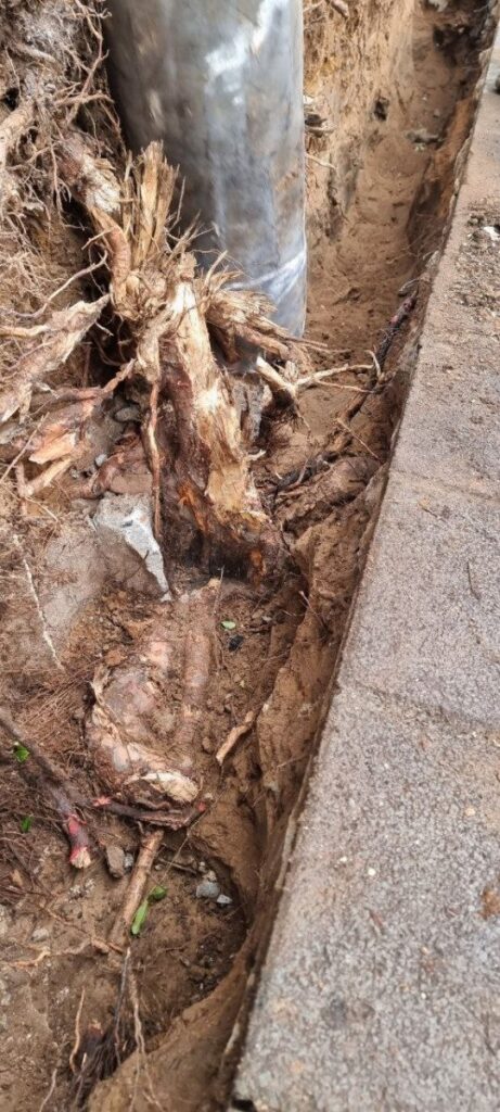 photo 2023 11 14 23 08 29