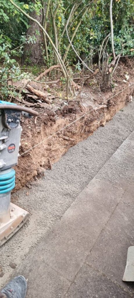 photo 2023 11 14 23 08 57