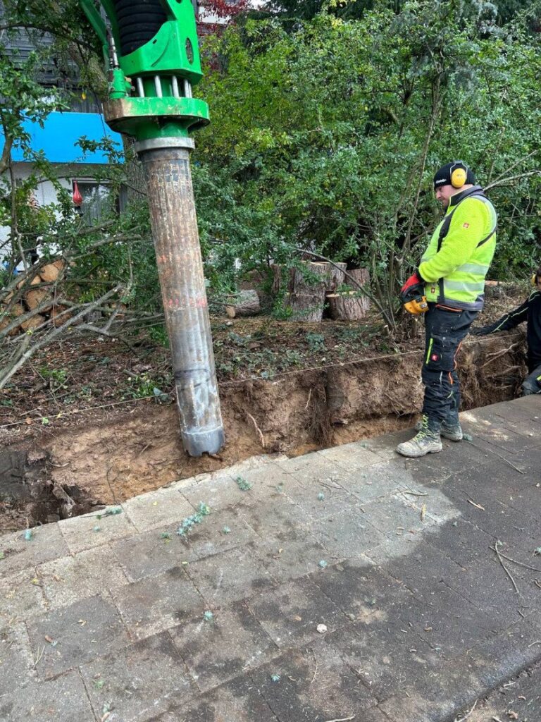 photo 2023 11 14 23 09 17