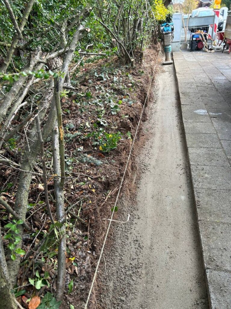 photo 2023 11 14 23 09 27