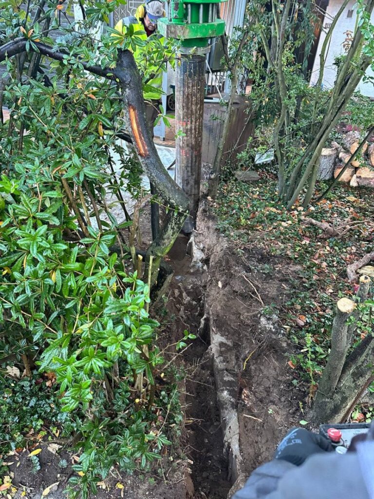 photo 2023 11 14 23 10 04