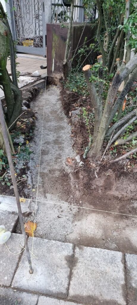 photo 2023 11 14 23 11 59